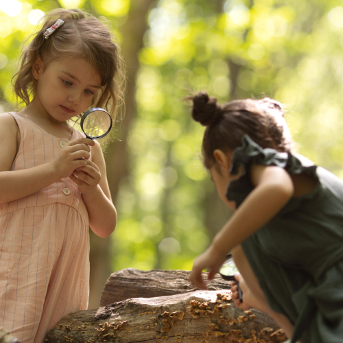 From Imagination to Ink: How a 1-Year-Old Brought The Unspoken Woods to Life